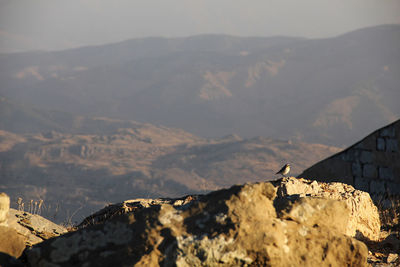 Scenic view of mountain against sky