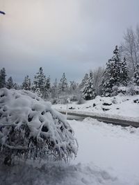 Scenic view of snow covered field