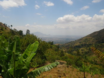 Scenic view of green landscape against sky