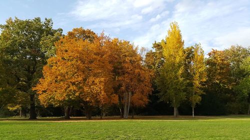 Trees on field against sky during autumn