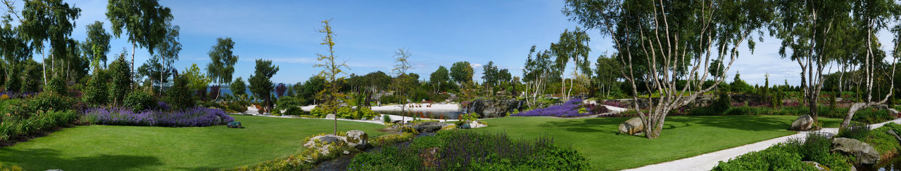 Panoramic view of trees against sky