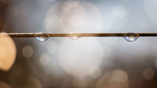 Close-up of water drops on illuminated lights