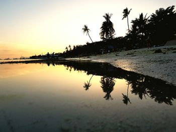 Reflection of trees in water at sunset