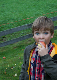 Portrait of boy holding apples on field