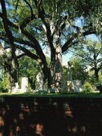 Close-up of statue against trees