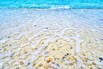 Scenic view of sandy beach