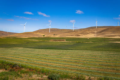 Windmills on field against sky