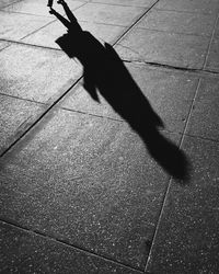 shadow