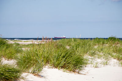 Scenic view of beach against clear sky