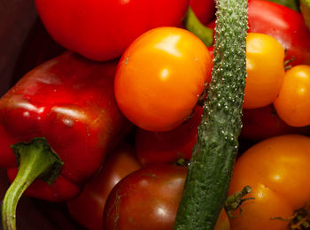 Close-up of tomatoes