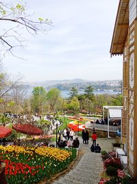 Group of people on flowering plants in city against sky