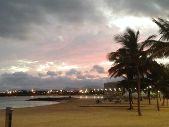 Palm trees against cloudy sky