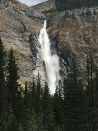 View of waterfall in forest