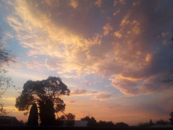 Low angle view of silhouette trees against sky during sunset
