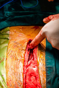 Close-up of person preparing food