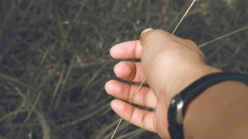 Close-up of hand holding stick