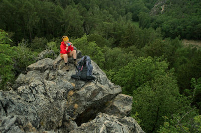 View of rocks on rock in forest