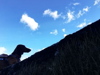 Low angle view of man against sky