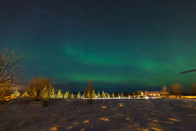 Scenic view of illuminated trees against sky at night during winter