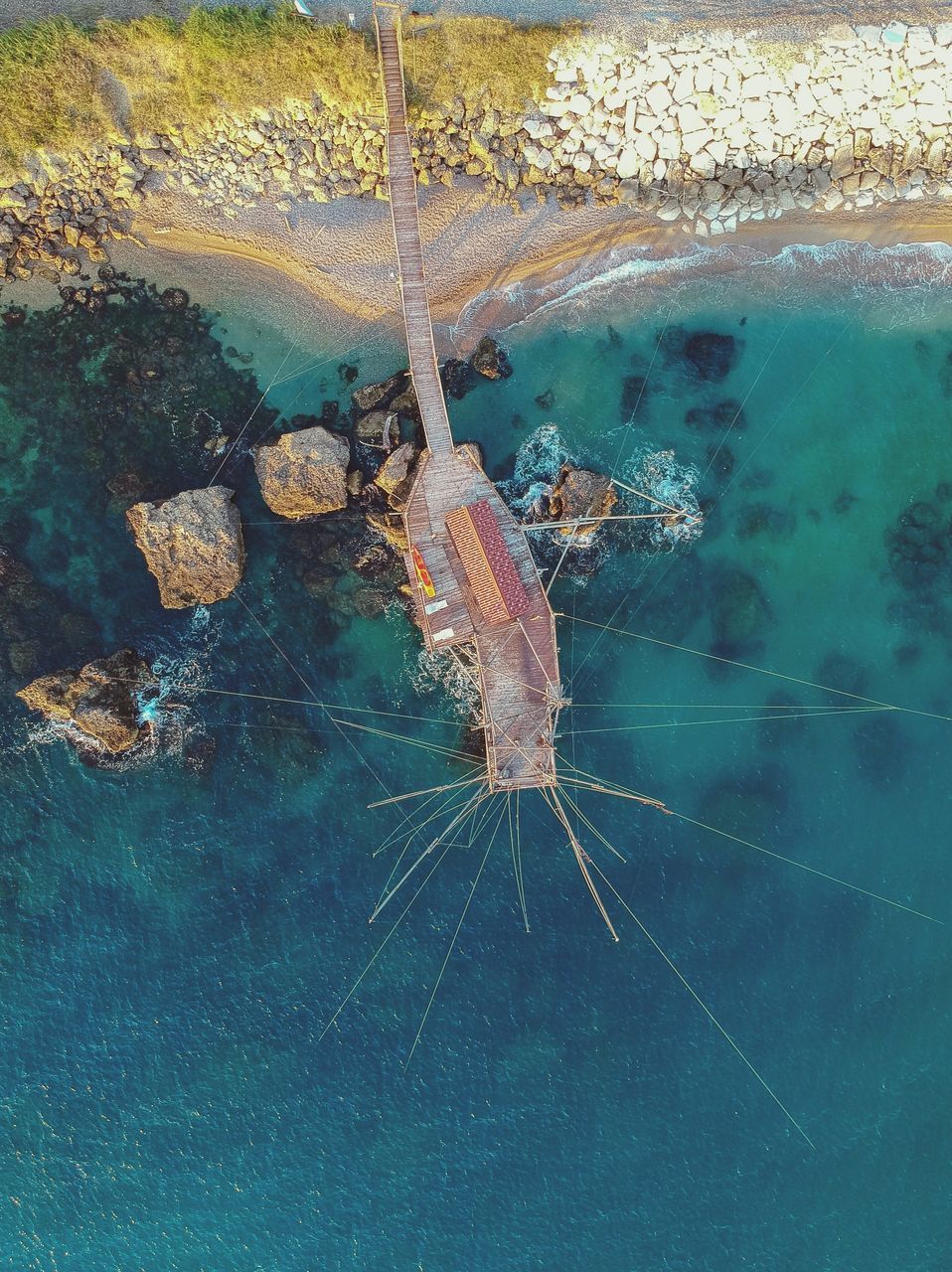 HIGH ANGLE VIEW OF A TURTLE