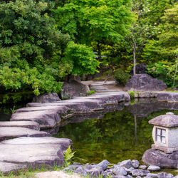 Stream flowing through rocks in garden