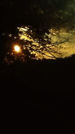 Silhouette trees against sky at night