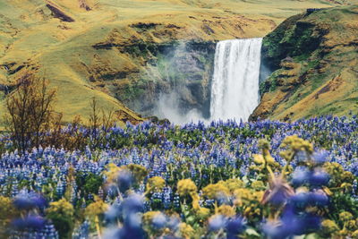 Scenic view of waterfall