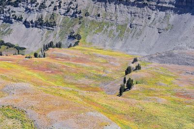 Timpanogos hiking trail landscape views in uinta wasatch cache national forest utah