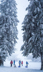 People enjoying on snow covered landscape