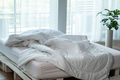 White cat lying on bed in house