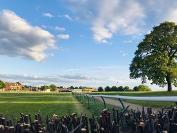 Scenic view of field against sky
