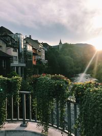 Trees and modern/vintage buildings in city against sky - switzerland 