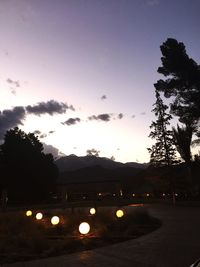 Illuminated trees against sky at sunset