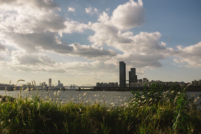 River with buildings in background