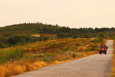 Road amidst trees on field against clear sky