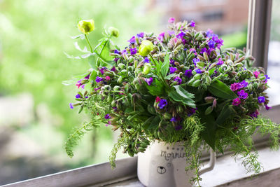 Close-up of purple flowering plant