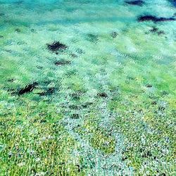 High angle view of sea shore