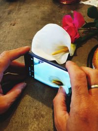 Close-up of hand holding white flower