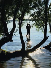 Silhouette of trees in water