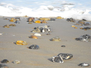 Close-up of beach