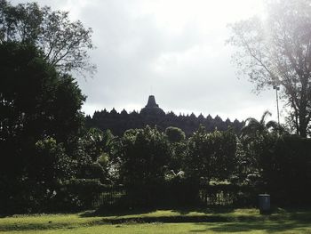 View of trees and buildings against sky