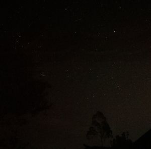 Low angle view of silhouette trees against sky at night