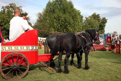 People riding in horse cart on field during festival