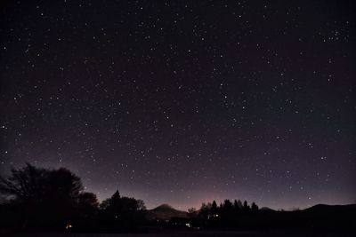 Silhouette trees against star field at night