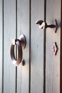 Close-up of a bird on metal door