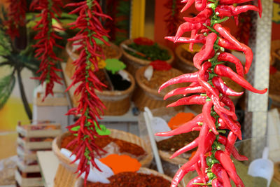 Close-up of red chili peppers for sale in market
