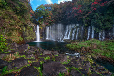 Scenic view of waterfall in forest