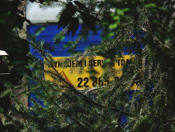 Close-up of text on tree against sky