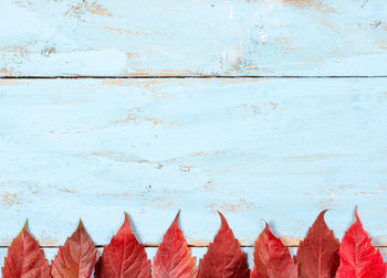 Close-up of peeled hanging against blue wall