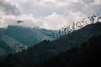 Low angle view of mountain against sky